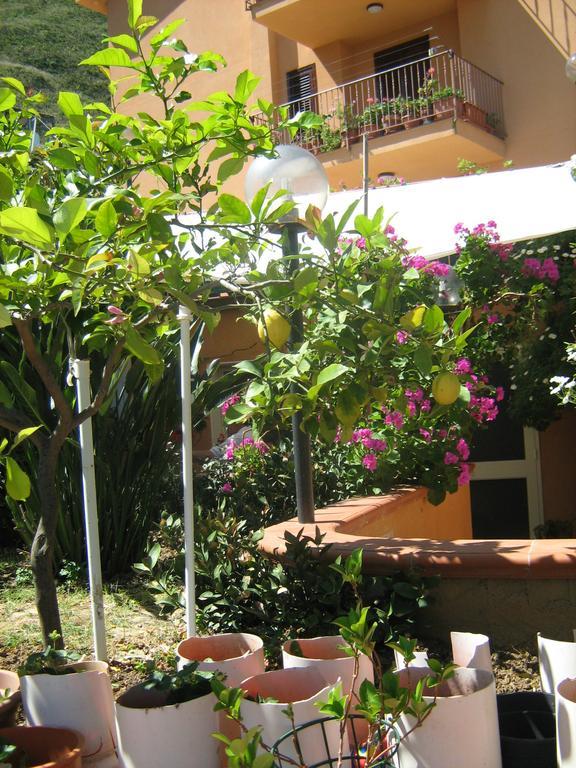 Terrazza Mimosa Apartment Cefalu Exterior photo